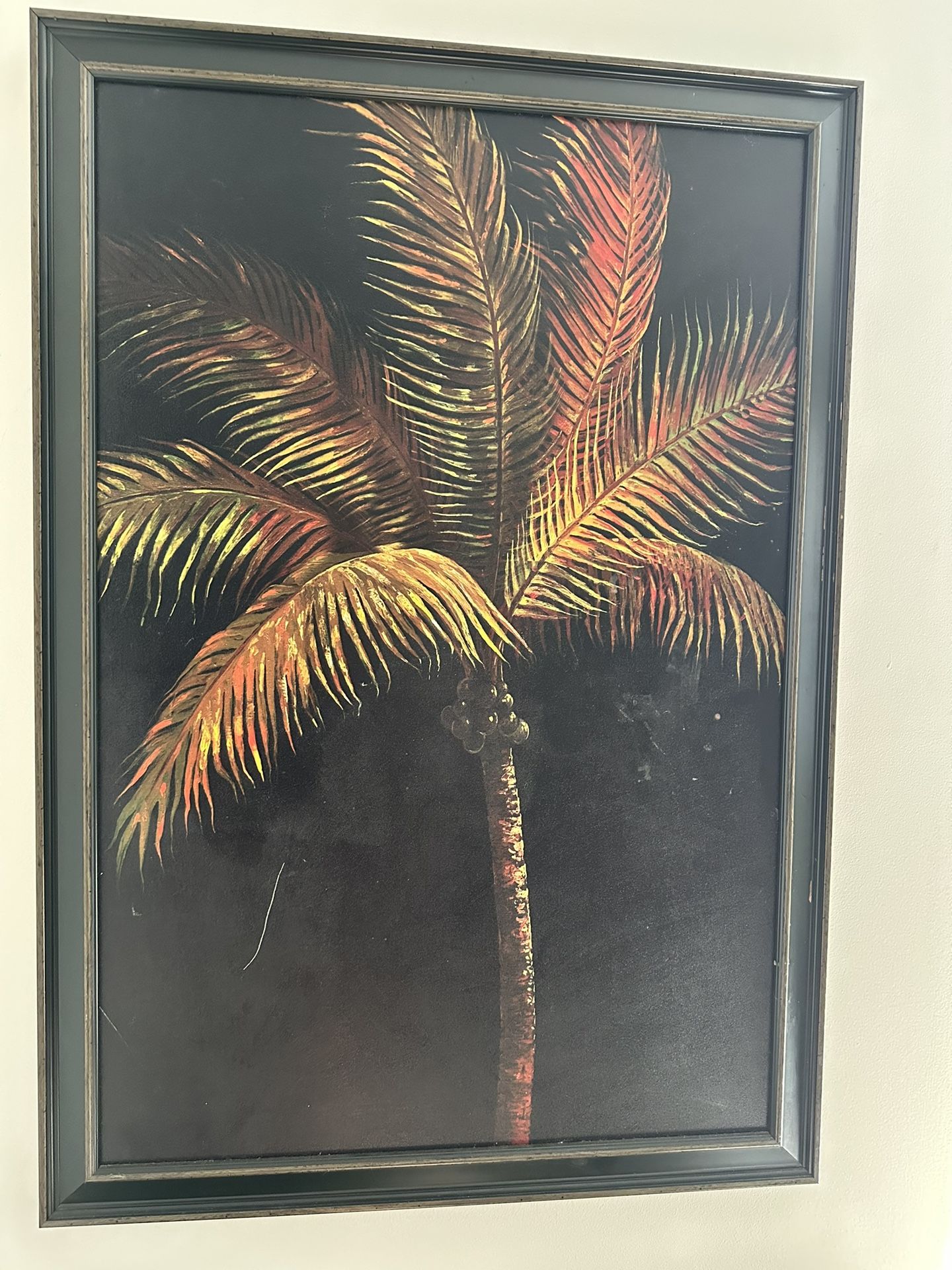 Large palm tree pictures (2)