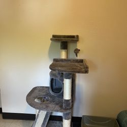 Used Cat Scratching Post