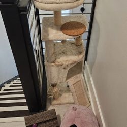 Giving Away Cat Stuff 