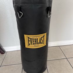 Everlast Small Boxing Bag - ONLY BAG