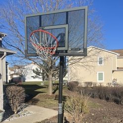 Lifetime Basketball Hoop