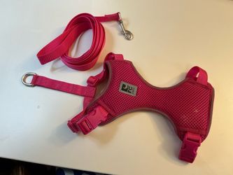 RC Pet Adventure Kitty Harness