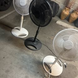 Fans 20$ Each