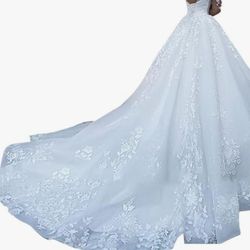 Cinderella Wedding Gown & Juliette Veil $150