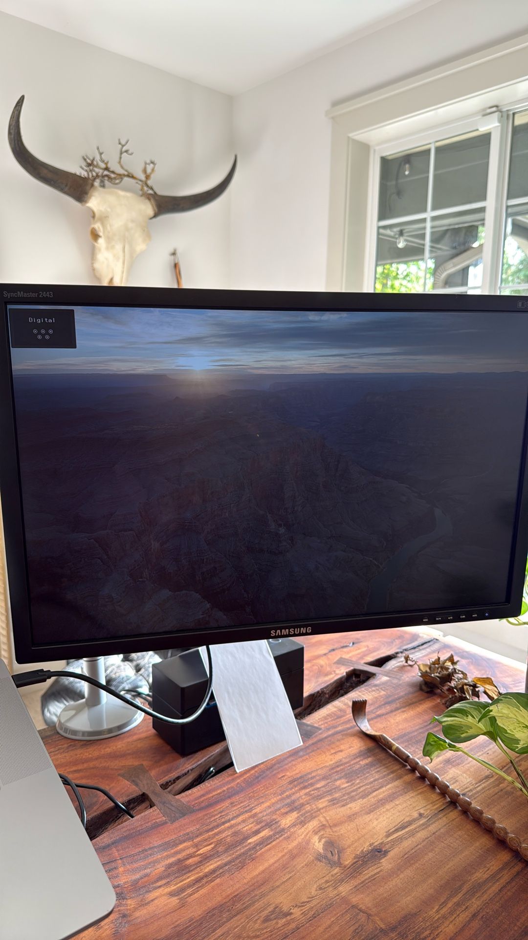 $5 Samsung Computer Monitor And Monitor Arm