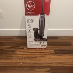 Hoover Dog Vacuum 
