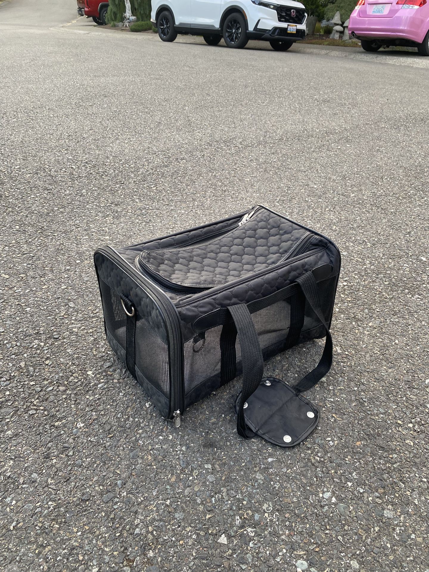Small Pet Carrier
