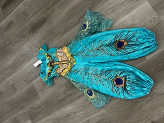 Princess Jasmine Costume