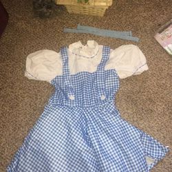Dorothy Costume size medium with todo and basket
