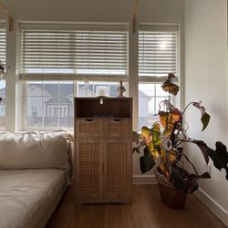 IWELL Rattan Cabinets & Shelves, Dimensions 23.6”x11.8”x42.5”, Natural Wood Compact Storage Wardrobe