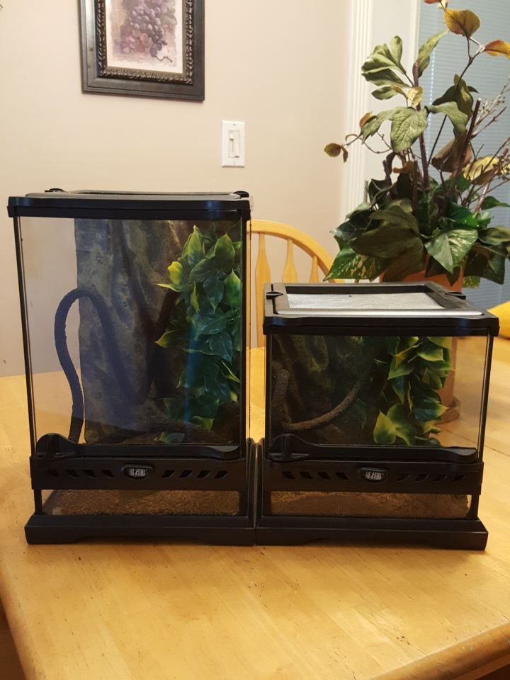 Never used exo terra nano terrariums. 8x8x8 and 8x8x12