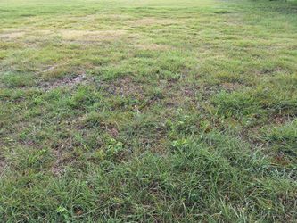 Cutting Grass  76645