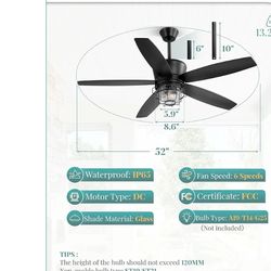 Outdoor ceiling fan