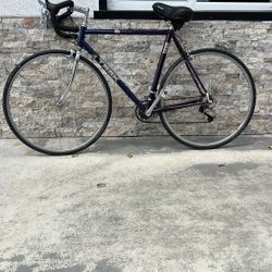 Trek 1220 Vintage Road Bike