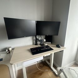 Two 27 Inch Acer Monitors 