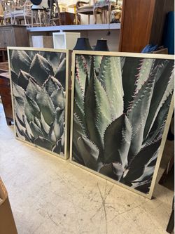 Pair of wall art is "Agave II" by Rachel Perry, a photographic print featuring a close-up botanical view of a succulent.