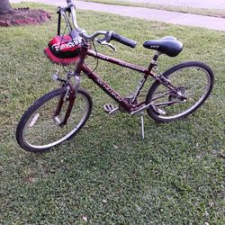 Schwinn Bicycle 