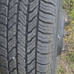 Dully Rims With  New Tires. 6