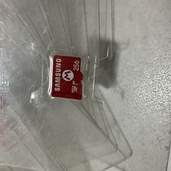 Nintendo 256gb Sd Cards