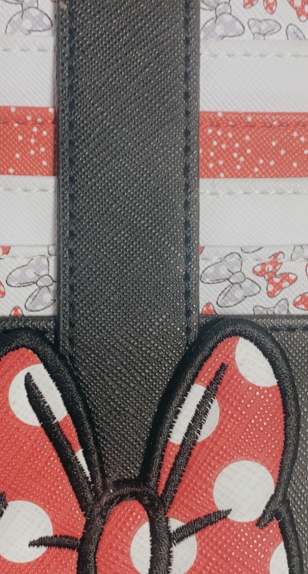 Minnie Cardholder 
