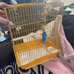 Small Bird Cage 
