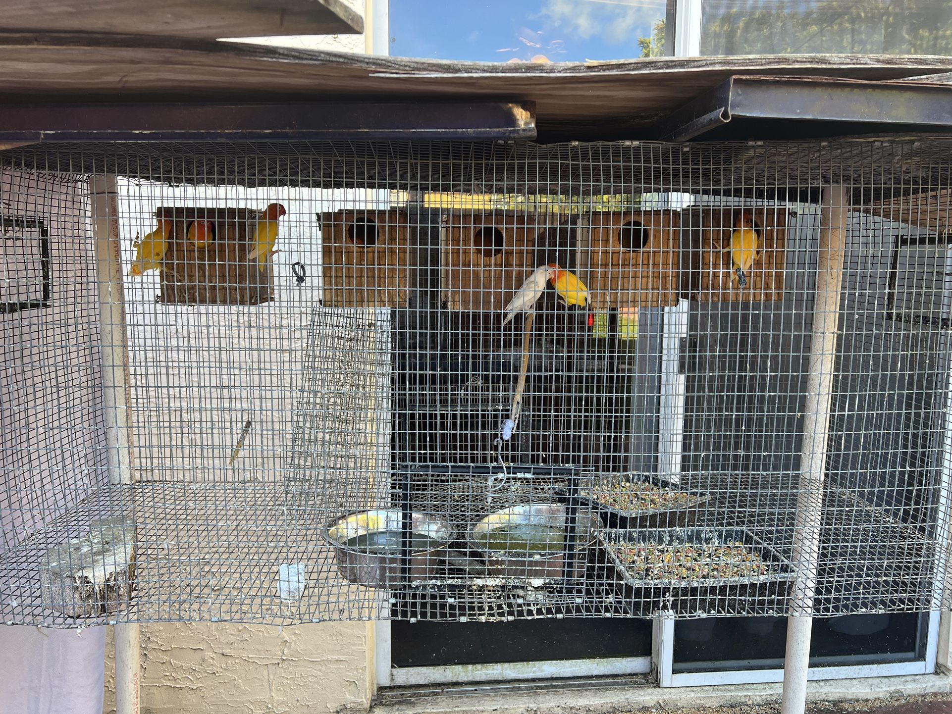 Bird Cage for Sale in Miami, FL OfferUp