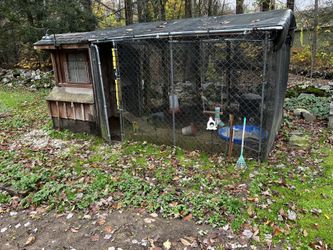 Chicken Coop And Run