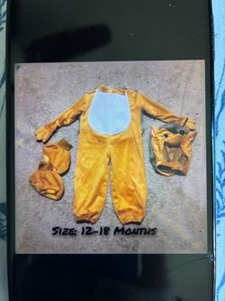 Hedgehog Honey Costume