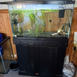 Aquarium Supplies 