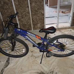 Great Christmas Gift