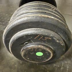 115 Lb Single Dumbbell 