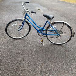 Schwinn Bike 