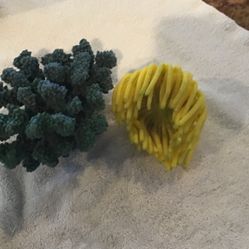 Coral