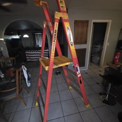 Warner 4ft (10ft Reach) Platform Ladder $175 OBO