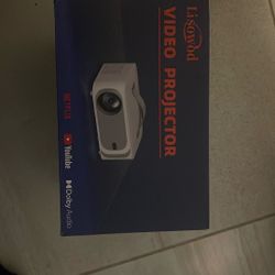 Lisowod Projector