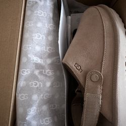Ugg Clogs 