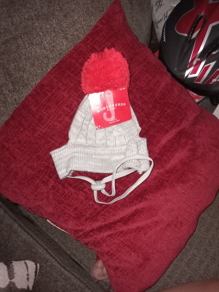Wondershop Pet Hat