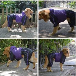 Purple Dog Rain Suit 