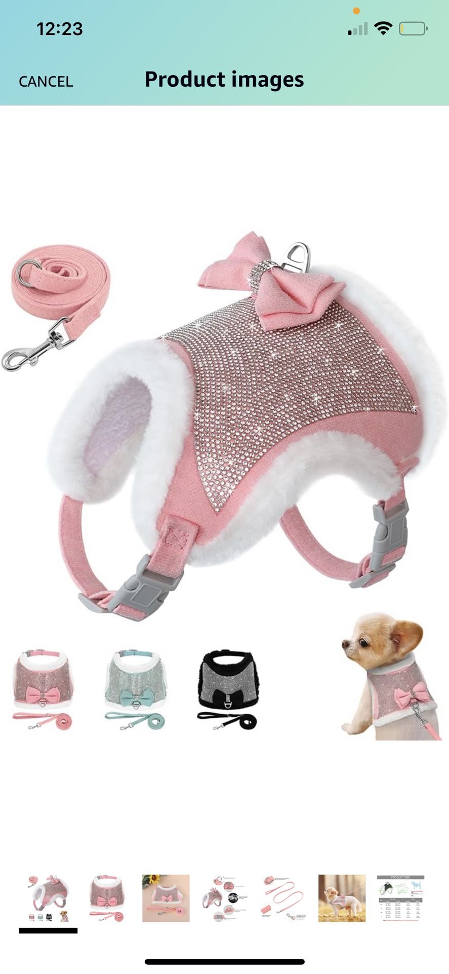 New Bling Harness And Leash 