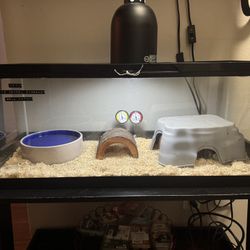 Terrarium for ball python with everything