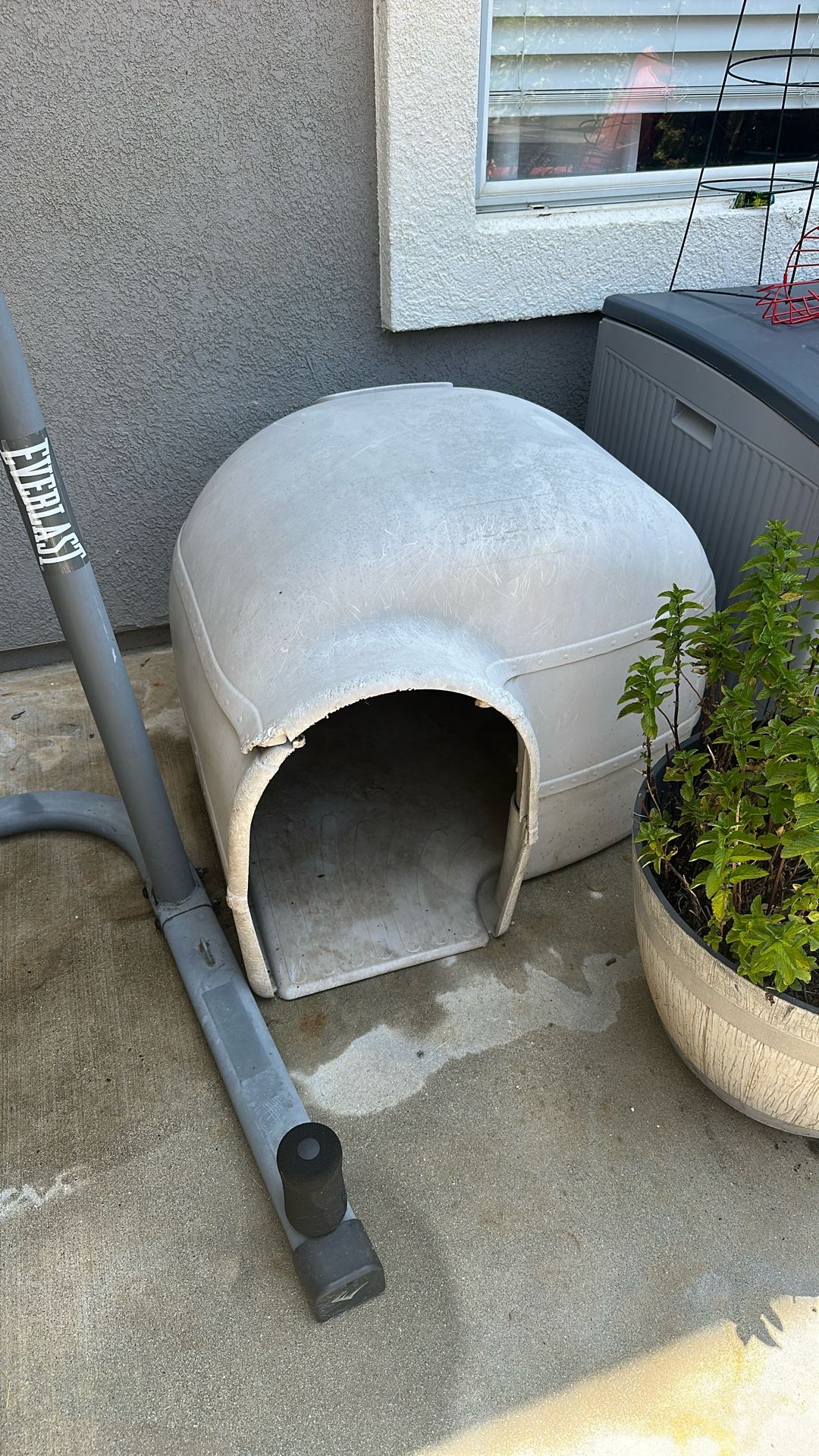 XL Dog House