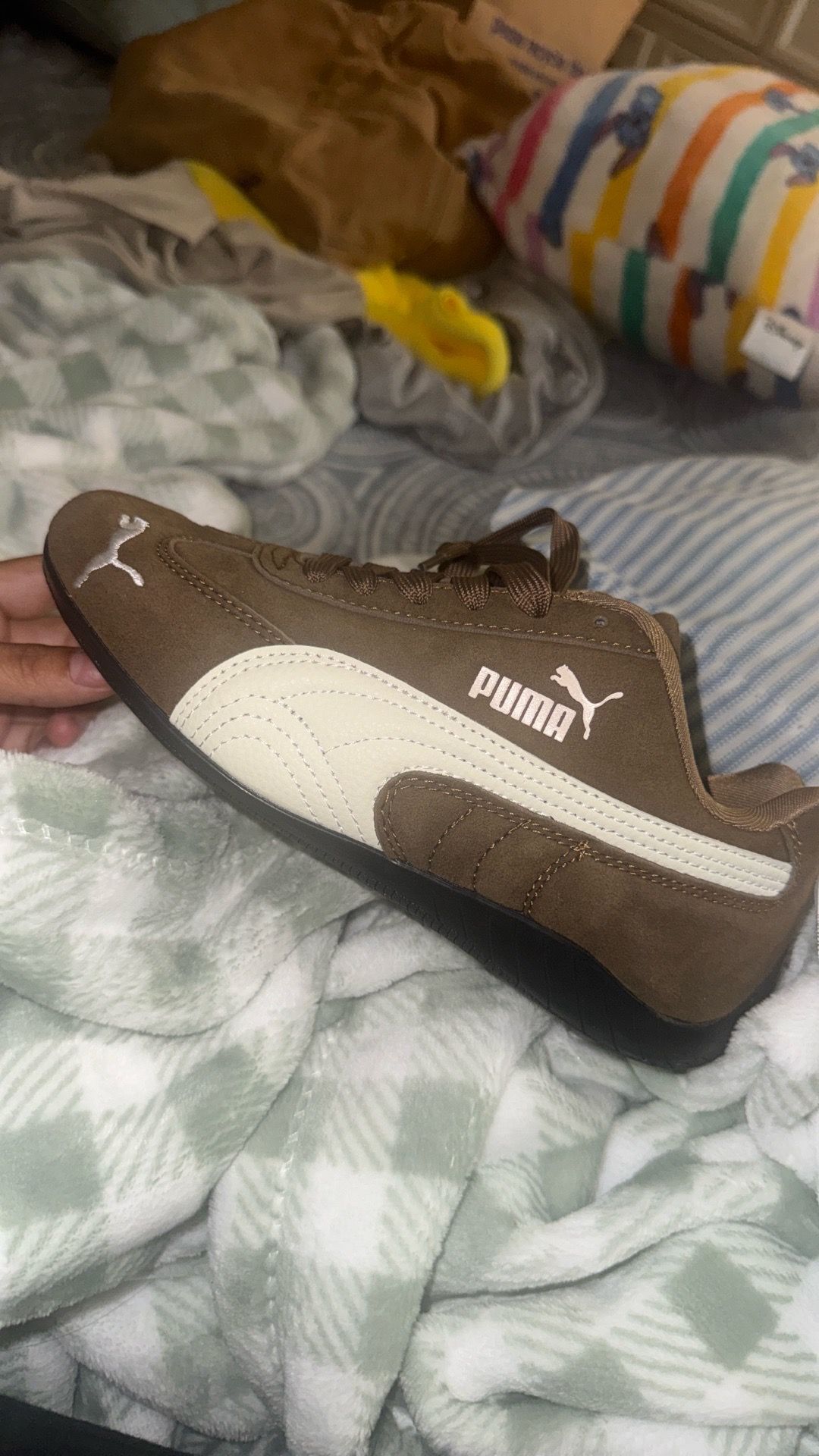 Puma cat speed