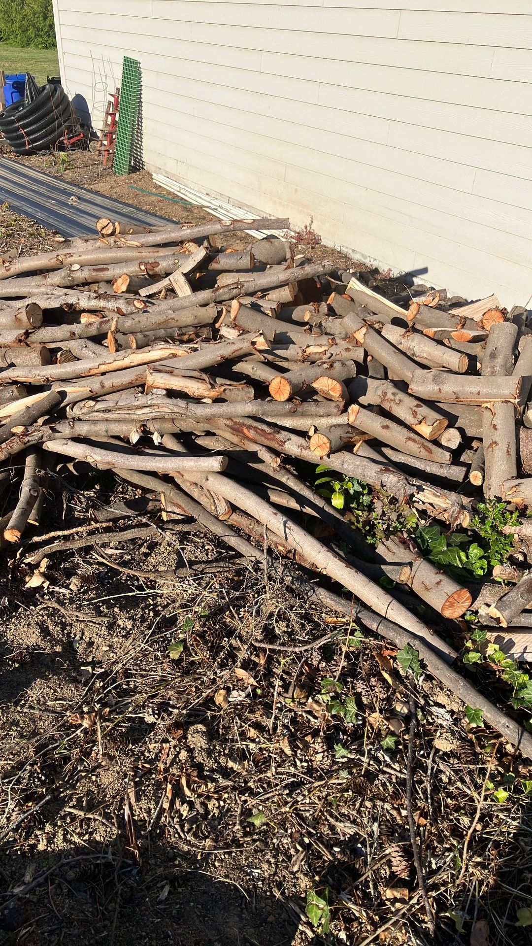 Free Firewood, Laurel Wood