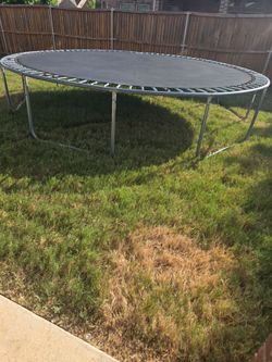 Large Trampoline
