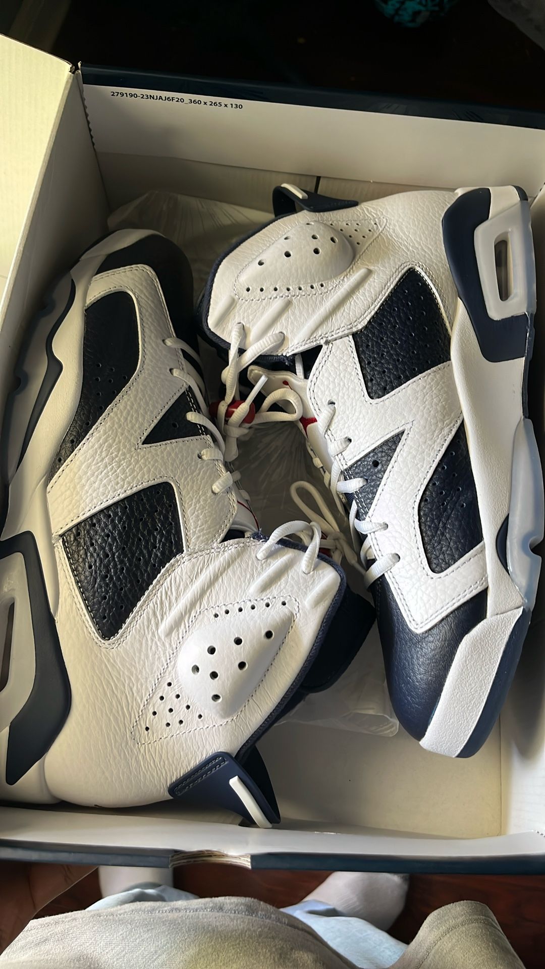 Jordan 6