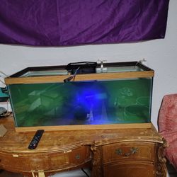 Aquariums And Aquarium Supplies 