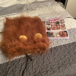 Dog Costume Xl  Skeleton Lion 