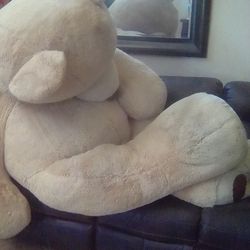 Huge Teddy Bear