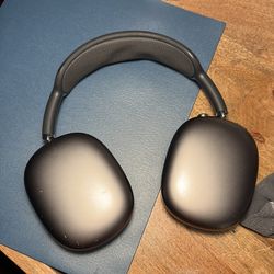 Apple Headphone maxs 2020 generation.