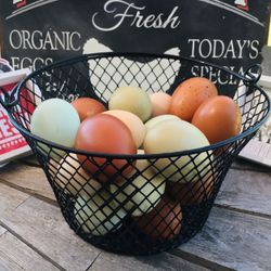 Farm Fresh Chicken Eggs